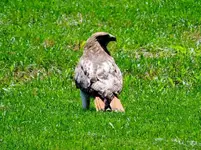 K1024_DSCN3442.webp