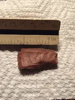 ImageUploadedByTreasureNet.com1466996201.571063.webp