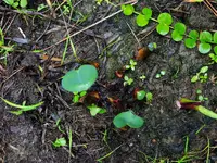 DSCN3185.webp