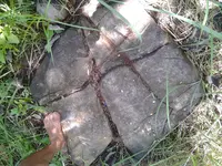 20160511_110335.webp