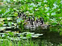 K1024_DSCN3180.webp