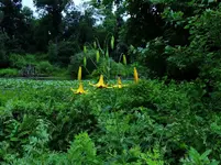 K1024_DSCN3190.webp
