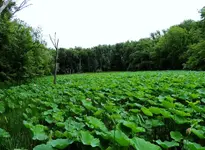 K1024_DSCN3197.webp