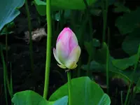 K1024_DSCN3192.webp