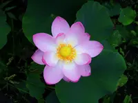 K1024_DSCN3194.webp
