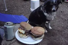 DSCF1279.webp
