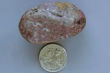 Agate-2016-07-10-trip-Img_2780SSS.webp