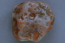 Agate-2016-07-10-trip-Img_2788SSS.webp