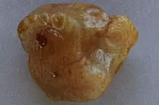 Agate-2016-07-10-trip-Img_2798SSS.webp