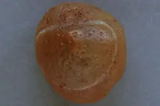 Agate-2016-07-10-trip-Img_2800SSS.webp