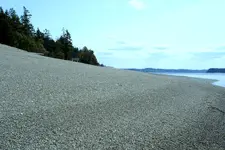 DSC02056 tide going out beach.webp