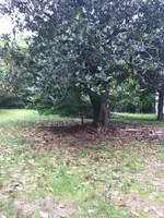 ImageUploadedByTreasureNet.com1467029883.036936.webp