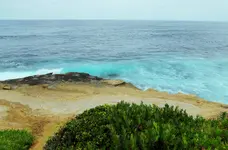 sd trip la jolla cove 4.webp
