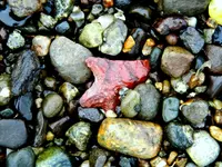 DSCN5771.webp