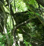 IMG_20160516_150058.webp