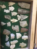 arrowheads2016.webp