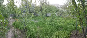 20160624_195226.webp