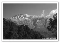 jacinto1.webp