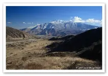 jacinto2.webp