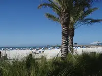 the beach.webp