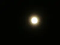 019.webp
