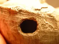 hammerhole.webp