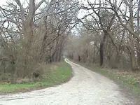 out in the field 001.webp