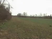 out in the field 004.webp