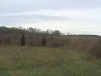 out in the field 007.webp