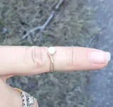 pinky.webp