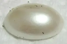 unknown2.webp