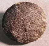 button 002.webp