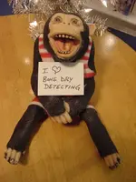 Monkey.webp