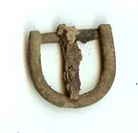 Buckle2.webp