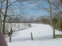 snow 008.webp
