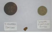 PL buttons.webp
