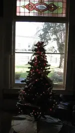 Tree of Birds daytime.webp