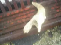 S4022057.webp