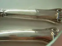 1318266249_080c57cee5.webp