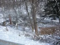 DSCF1648.webp