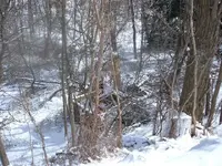 DSCF1650.webp