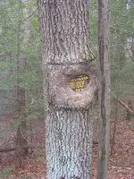 trespassing-forbidden.webp