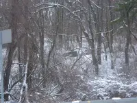 DSCF1653.webp