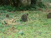 P1020144.webp