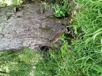 20160701_145856.webp