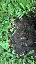 IMG_20160530_140153_778.webp