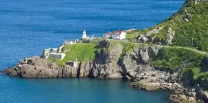 newfoundland_canada_summer_nature_ss.webp