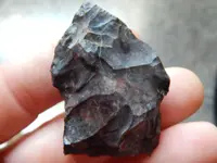 DSCN0691.webp
