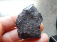 DSCN0693.webp