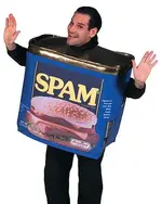 spam boy.webp